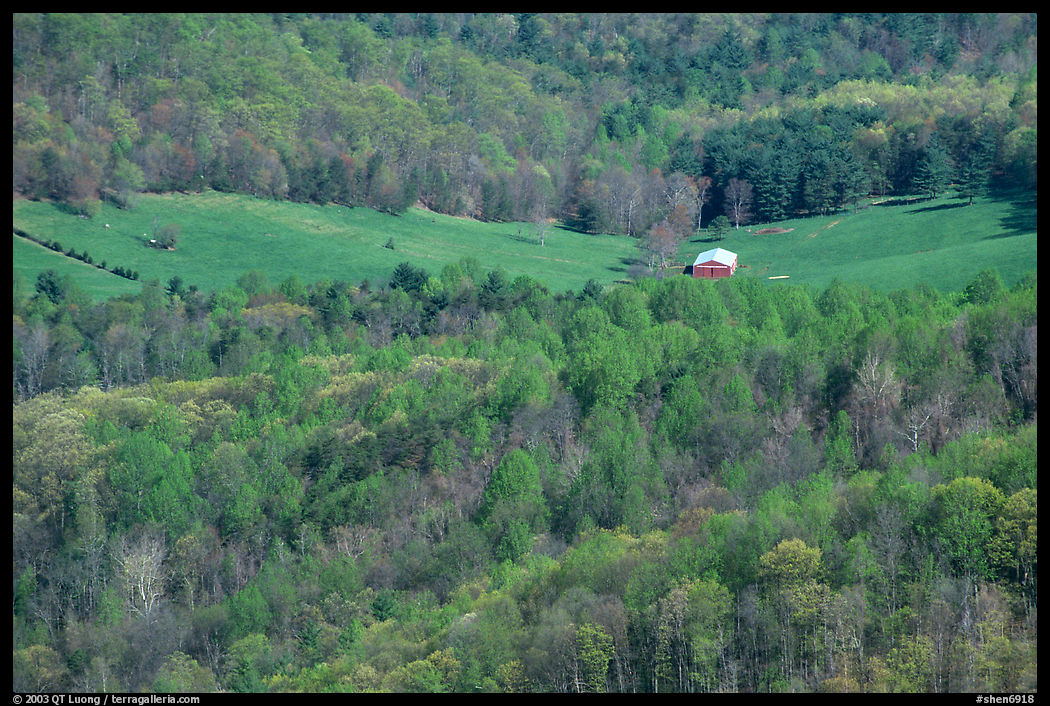 Barn in a meadow. Shenandoah National Park, Virginia, USA.