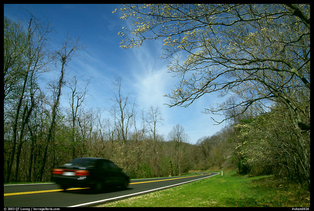 Car on Skyline drive. Shenandoah National Park, Virginia, USA.