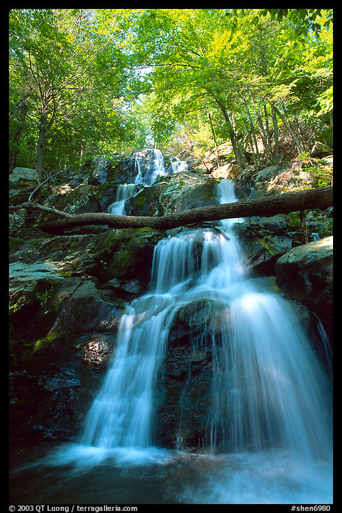 Dark Hollow Falls. Shenandoah National Park, Virginia, USA.
