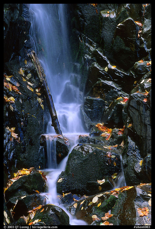 Cascade with fallen leaves. Shenandoah National Park, Virginia, USA.