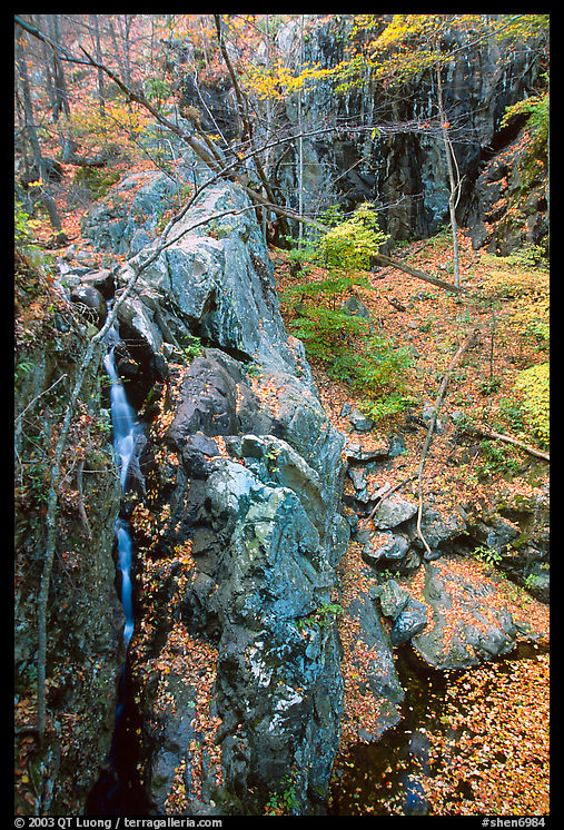 Waterfall of the Rose River and fall colors. Shenandoah National Park