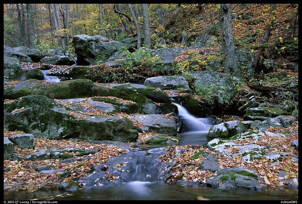 Hogcamp Branch of the Rose River. Shenandoah National Park, Virginia, USA.