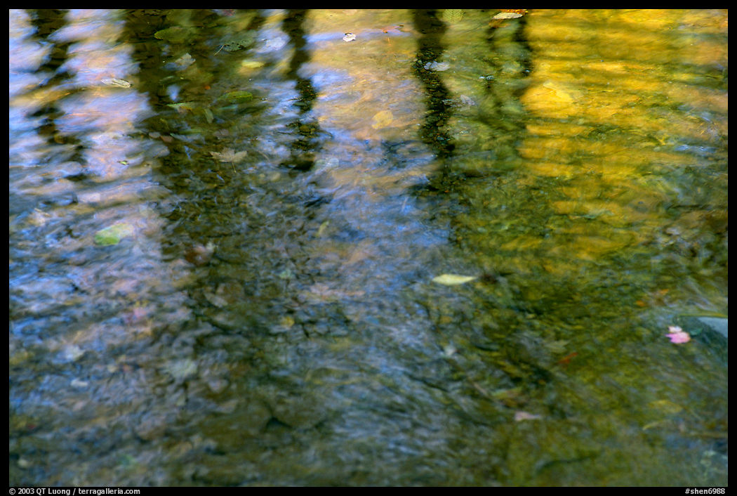 Reflexions with fall colors. Shenandoah National Park, Virginia, USA.