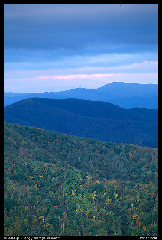 Hillside and receding ridges in Autumn. Shenandoah National Park, Virginia, USA.