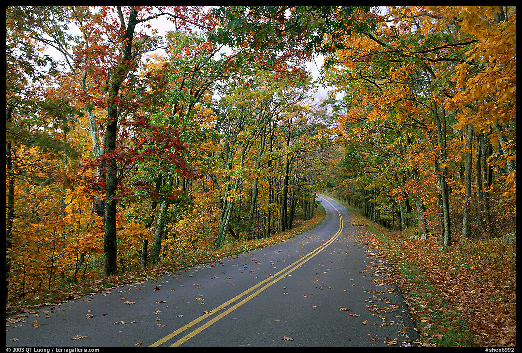 Skyline Drive in autumn. Shenandoah National Park, Virginia, USA.