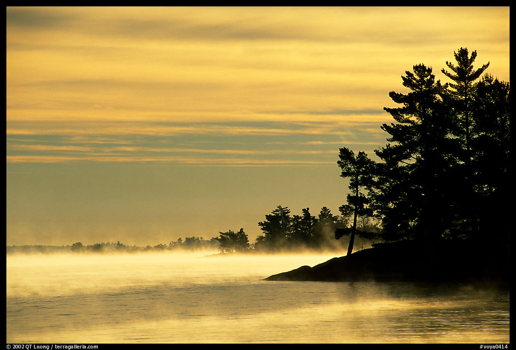 Fog lifting up in early morning and trees on shore of Kabetogama lake. Voyageurs National Park, Minnesota, USA.