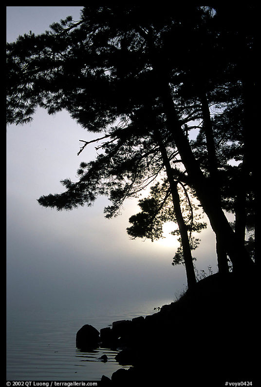 Sunrise and morning fog, Kabetogama lake near Woodenfrog. Voyageurs National Park, Minnesota, USA.