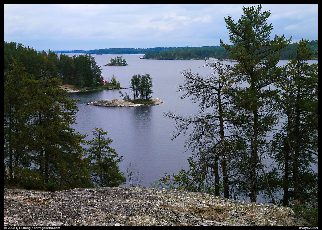 Islet and trees, Anderson Bay. Voyageurs National Park, Minnesota, USA.