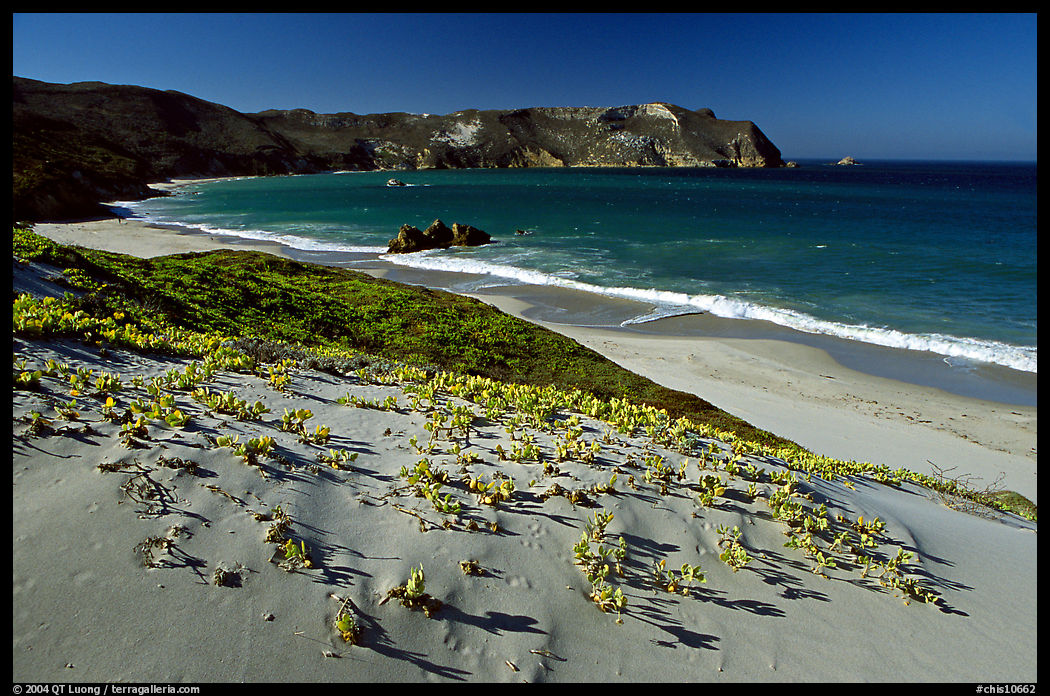 Sand dunes and Cuyler Harbor, afternoon, San Miguel Island. Channel Islands National Park, California, USA.