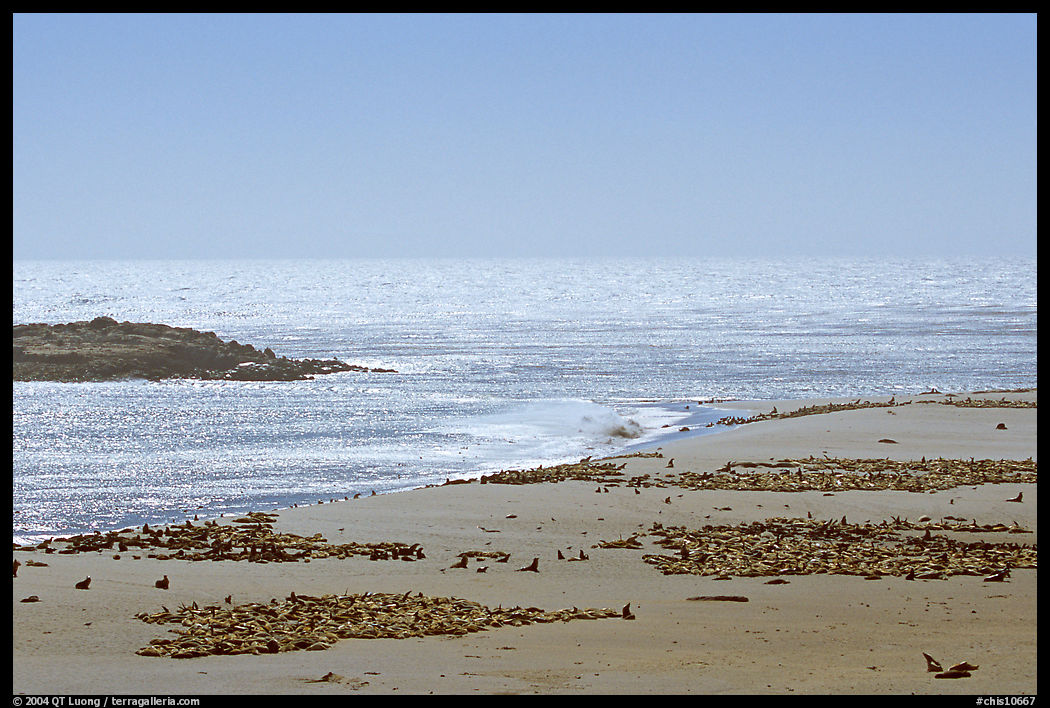 Point Bennett, mid-day, San Miguel Island. Channel Islands National Park, California, USA.
