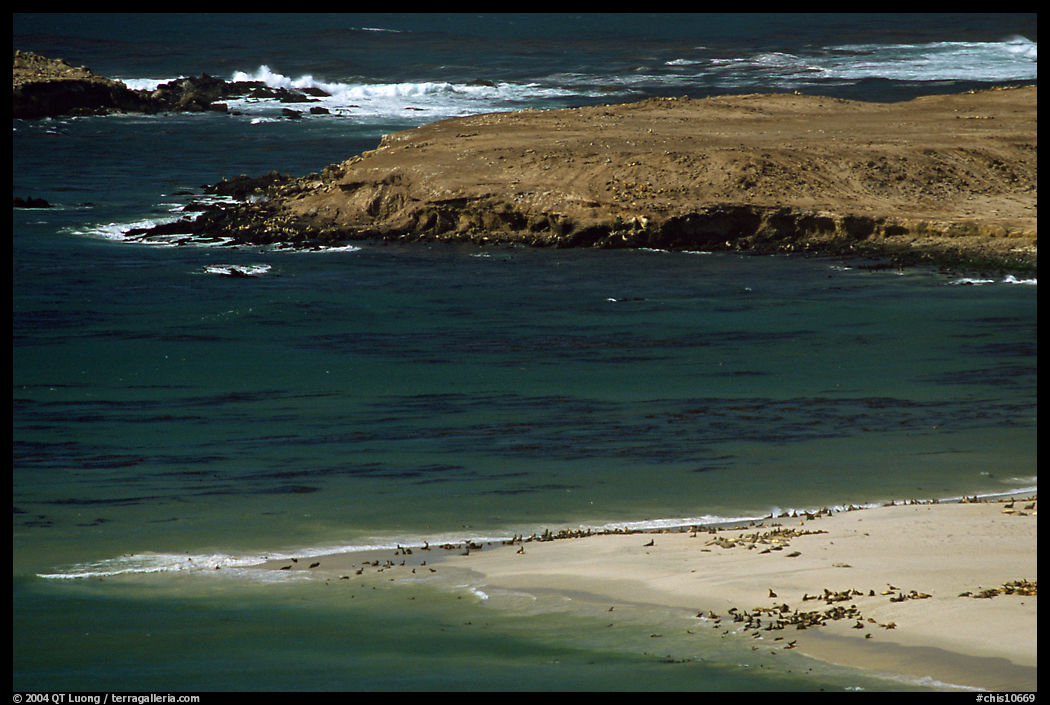 Point Bennet and rookeries, mid-day, San Miguel Island. Channel Islands National Park, California, USA.