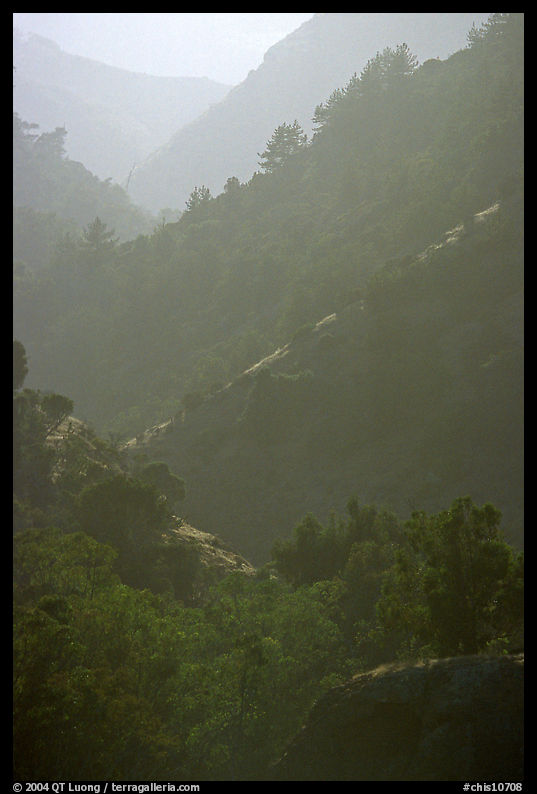 Ridges, Santa Cruz Island. Channel Islands National Park, California, USA.