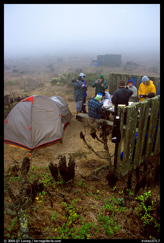 Campers in fog, San Miguel Island. Channel Islands National Park, California, USA.