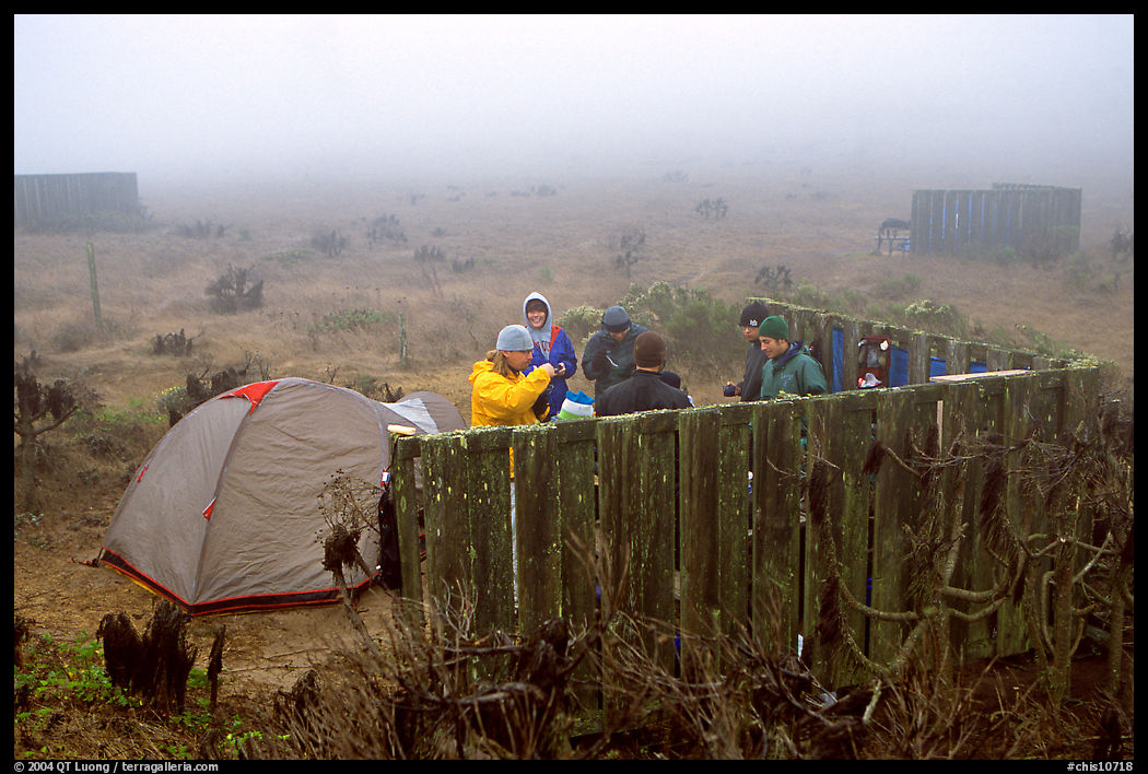 Campsite in typical fog, San Miguel Island. Channel Islands National Park, California, USA.