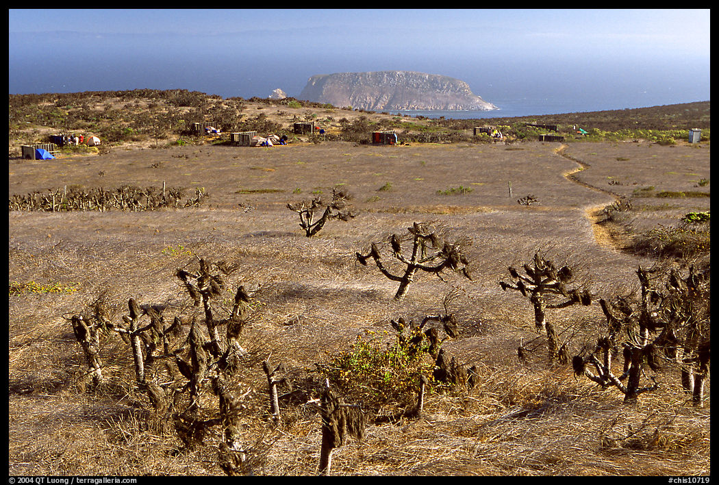 Campground, San Miguel Island. Channel Islands National Park, California, USA.