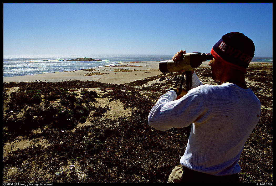 Looking at  marine wildlife at Point Bennett, San Miguel Island. Channel Islands National Park