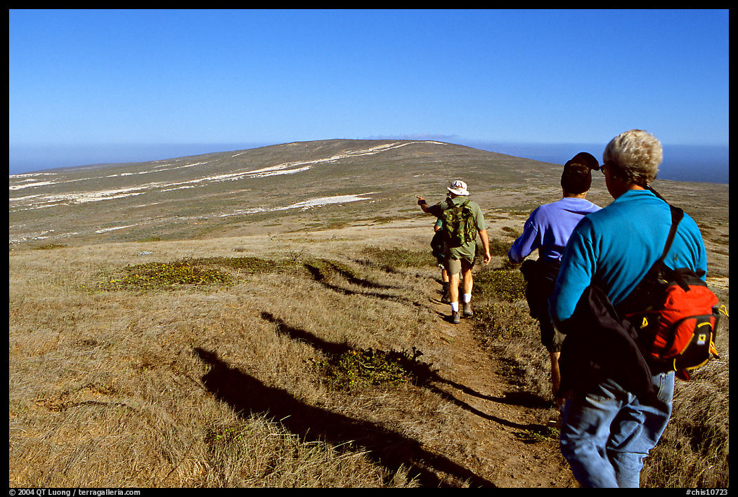 Hikers on  trail to Point Bennett, San Miguel Island. Channel Islands National Park, California, USA.