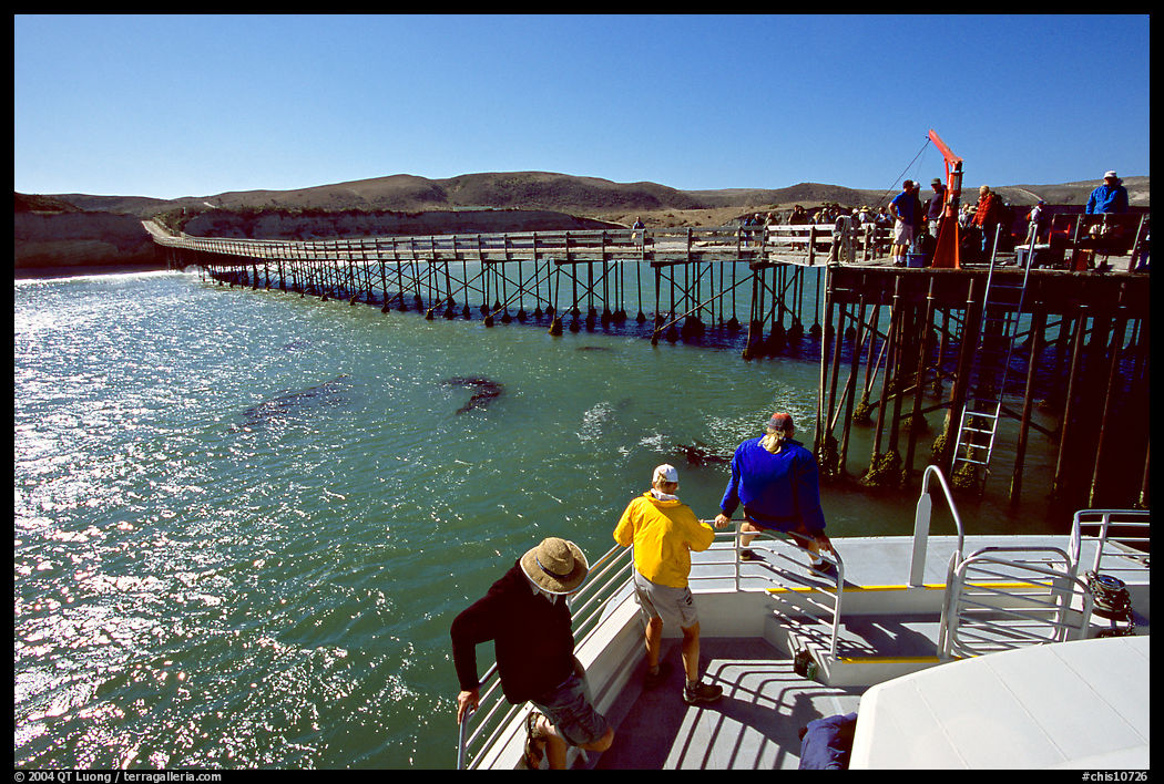 Bechers bay pier, Santa Rosa Island. Channel Islands National Park, California, USA.