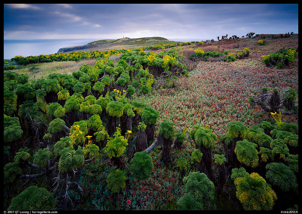 Dusk, Cuyler Harbor, San Miguel Island. Channel Islands National Park, California, USA.