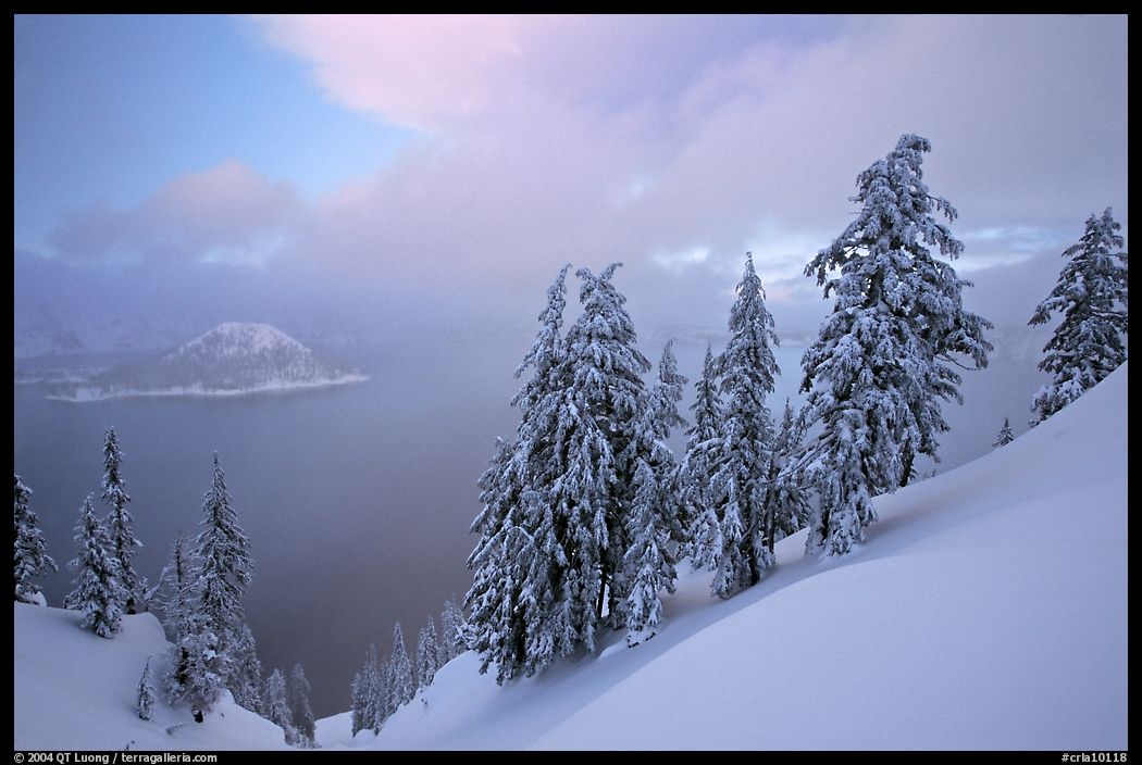 Snow-covered trees and misty lake at sunset. Crater Lake National Park, Oregon, USA.