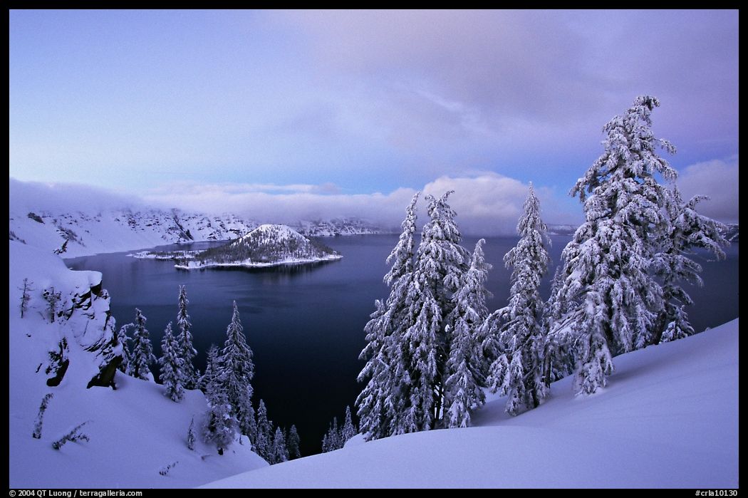 Wizard Island and Lake at dusk, framed by snow-covered trees. Crater Lake National Park, Oregon, USA.