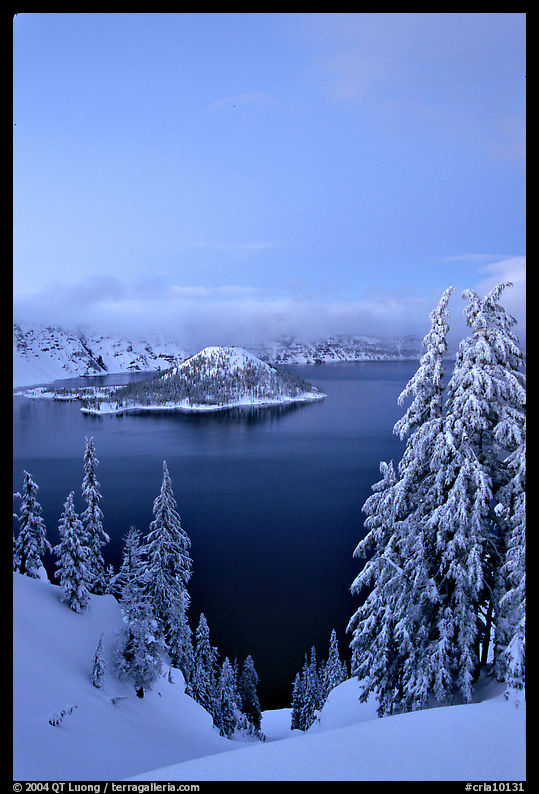 Wizard Island and Lake at dusk, framed by snow-covered trees. Crater Lake National Park, Oregon, USA.