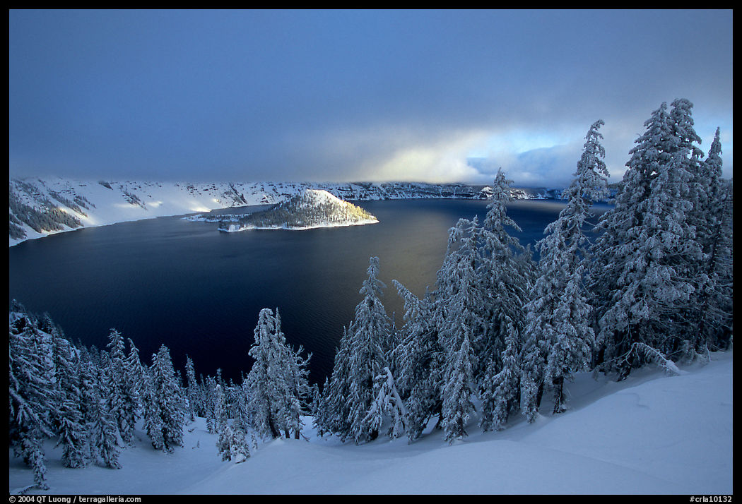 Trees, Lake and Wizard Island, cloudy winter sunrise. Crater Lake National Park, Oregon, USA.