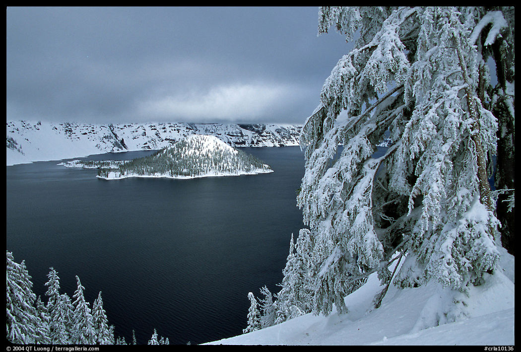 Trees and Wizard Island in winter with clouds and dark waters. Crater Lake National Park, Oregon, USA.