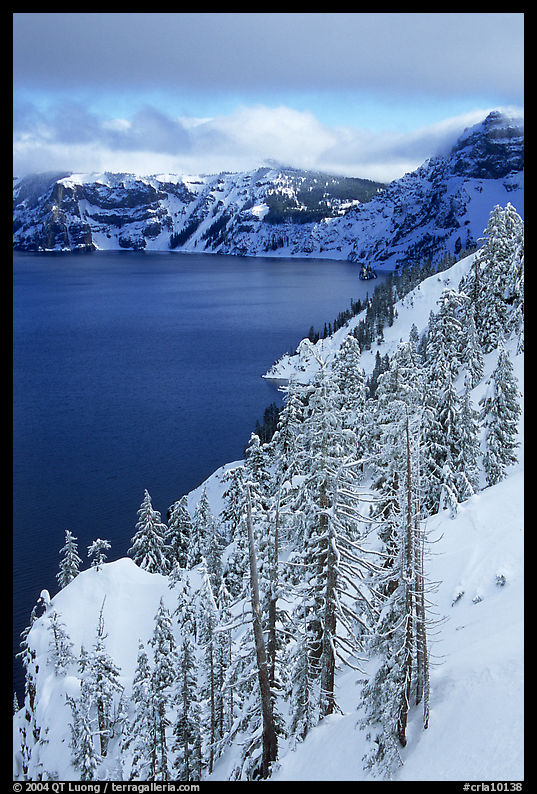 Cliffs, conifer trees, and lake in winter with cloudy skies. Crater Lake National Park