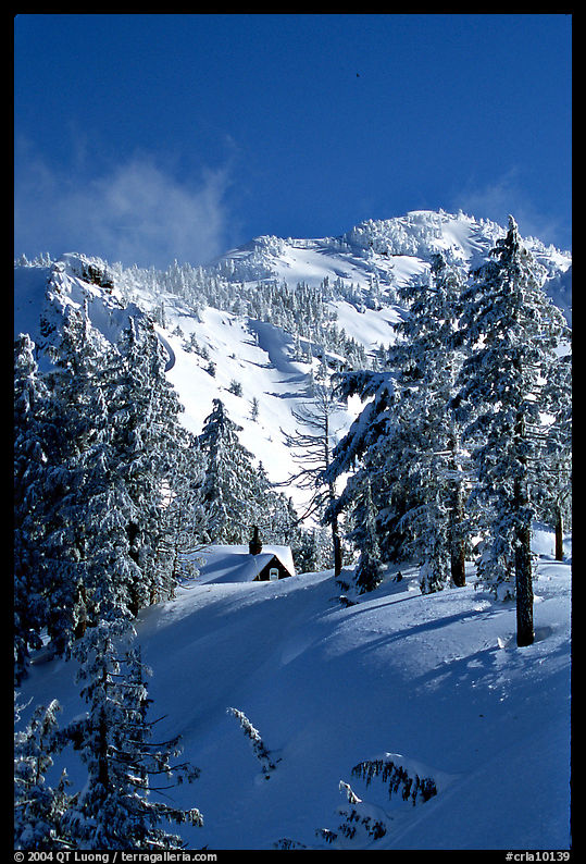 Cabin in winter with trees and mountain. Crater Lake National Park, Oregon, USA.