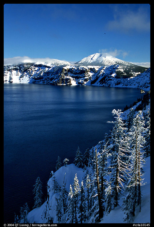Lake rim in winter with blue skies. Crater Lake National Park, Oregon, USA.