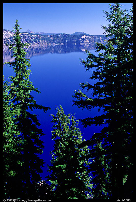 Trees and Lake. Crater Lake National Park, Oregon, USA.