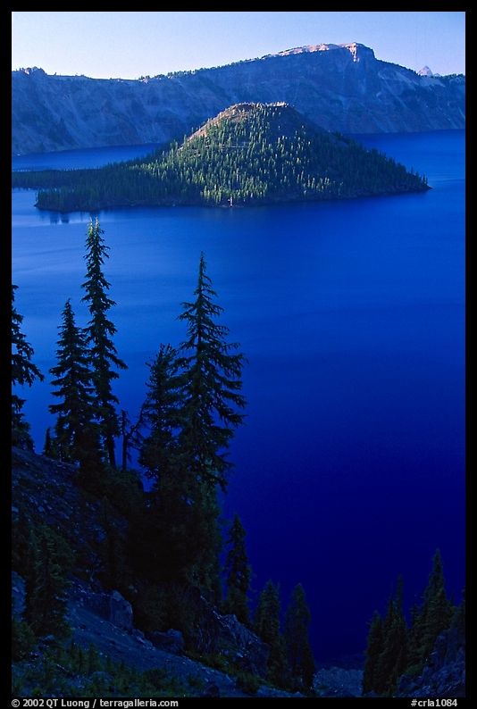 Conifer trees, Lake and Wizard Island. Crater Lake National Park, Oregon, USA.