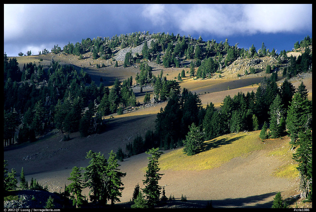 Volcanic hills and pine trees. Crater Lake National Park, Oregon, USA.