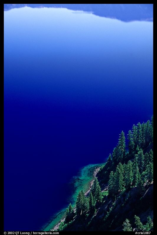 Trees and blue lake waters. Crater Lake National Park