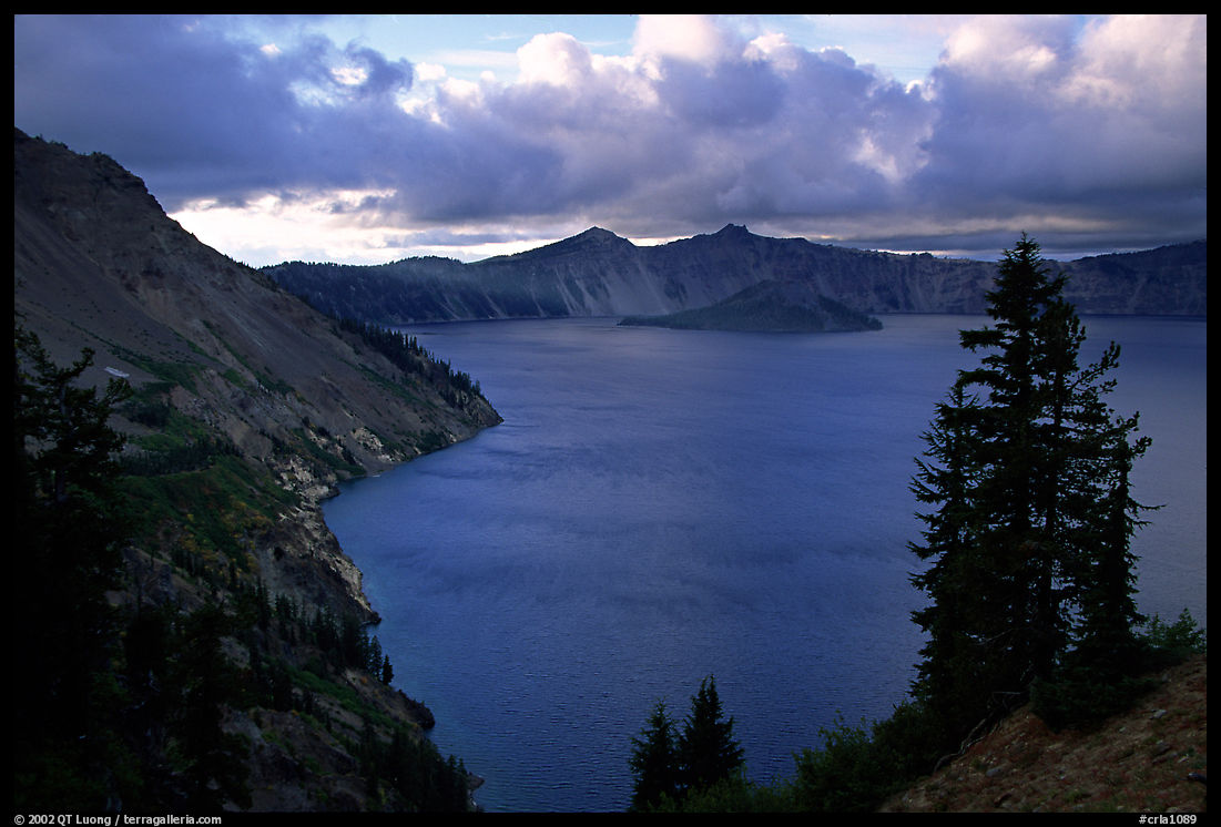 Tree, lake and clouds, Sun Notch. Crater Lake National Park
