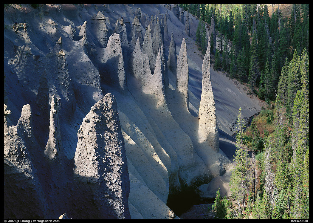 Pumice and ash pipes cemented by volcanic gasses. Crater Lake National Park, Oregon, USA.