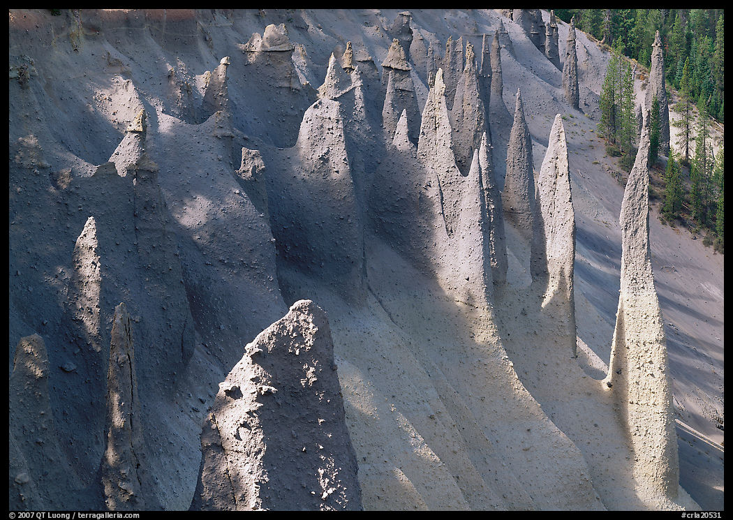 Vertical columns of volcanic origin. Crater Lake National Park, Oregon, USA.