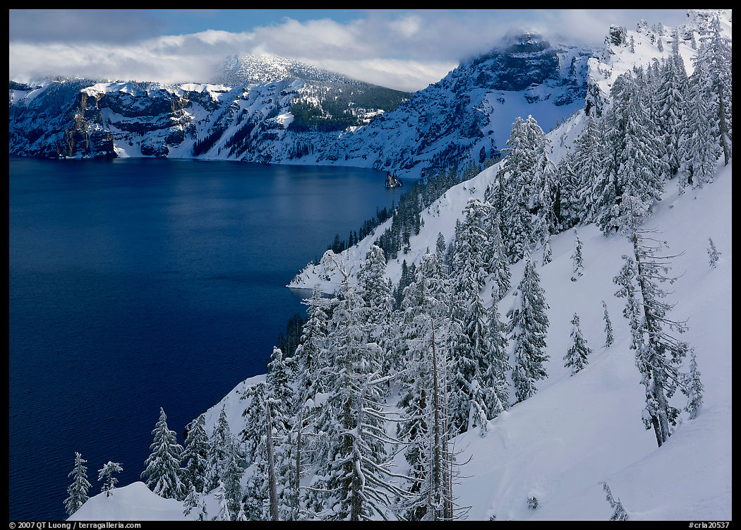Snowy trees and slopes. Crater Lake National Park, Oregon, USA.