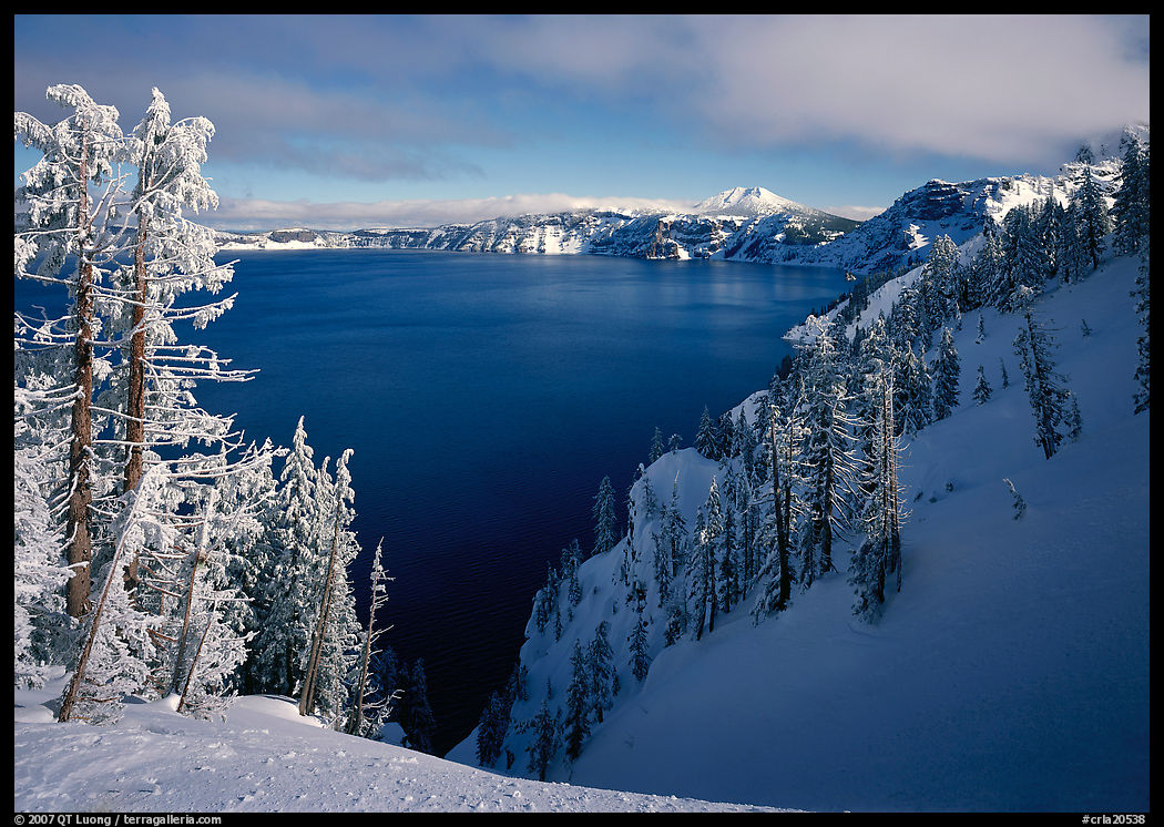 Snow-covered trees and dark lake waters. Crater Lake National Park
