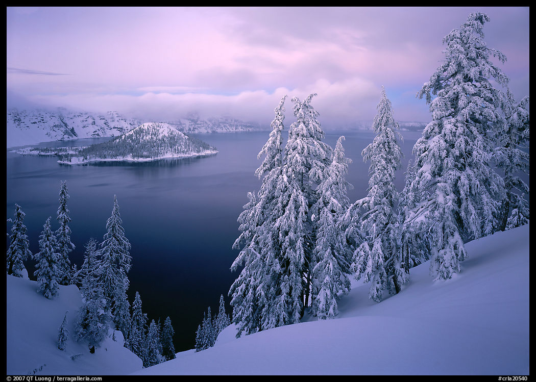 Trees, Wizard Island, and lake, winter dusk. Crater Lake National Park, Oregon, USA.
