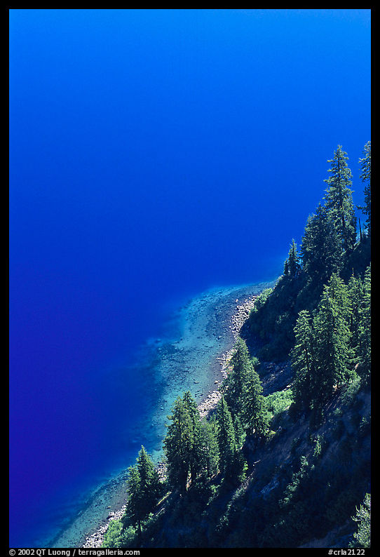 Pine trees and blue waters. Crater Lake National Park, Oregon, USA.