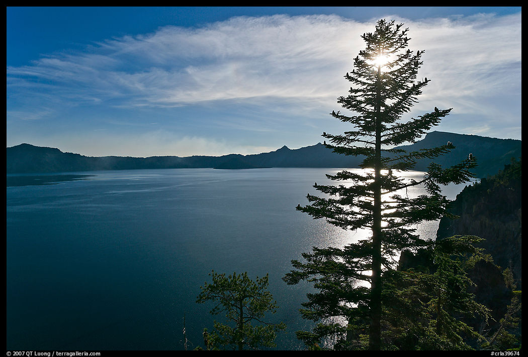 Lake and sun shining through pine tree, afternoon. Crater Lake National Park, Oregon, USA.