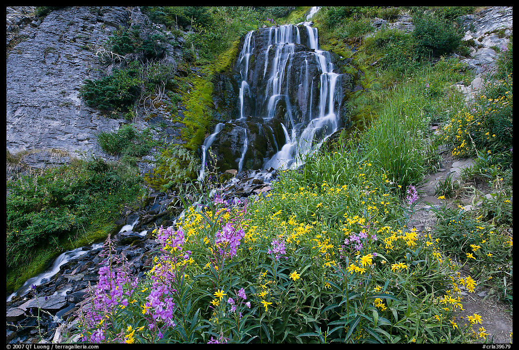 Vidae Falls and stream. Crater Lake National Park, Oregon, USA.