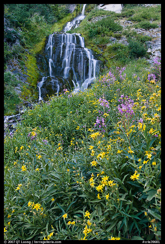 Wildflowers and Vidae Falls. Crater Lake National Park, Oregon, USA.