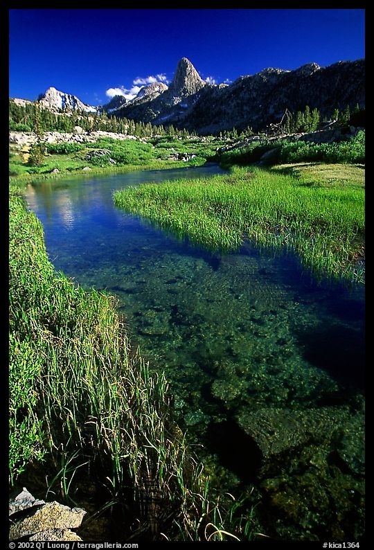 Stream and Mountains. Kings Canyon  National Park, California, USA.