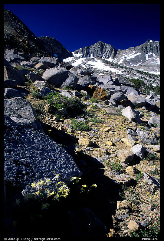 Mountains near Sawmill Pass, morning. Kings Canyon  National Park, California, USA.