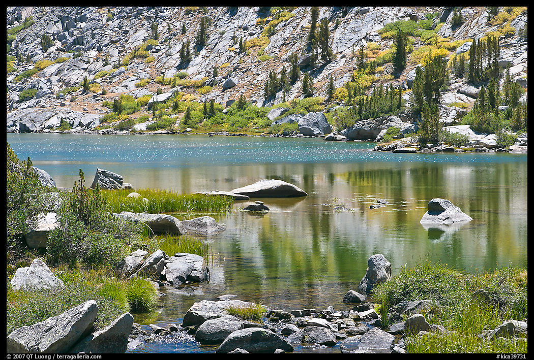 Lake and tree reflections, Lower Dusy Basin. Kings Canyon  National Park