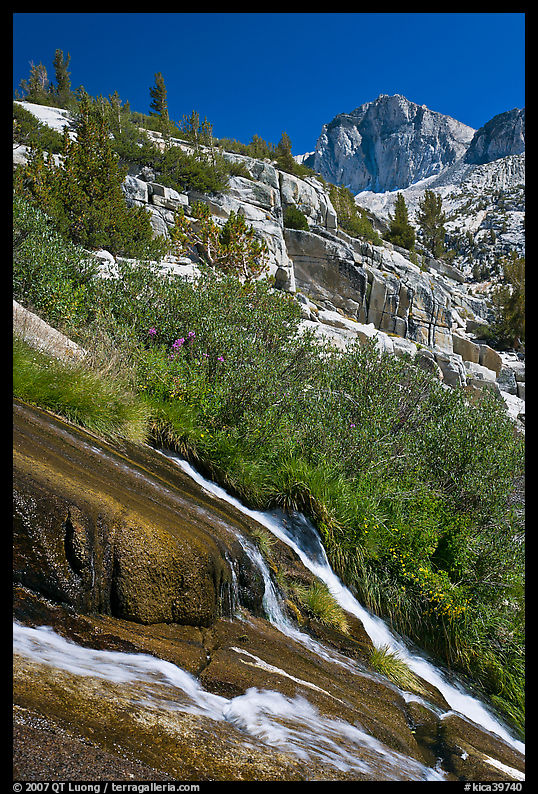 Waterfall, wildflowers and mountains, Le Conte Canyon. Kings Canyon  National Park