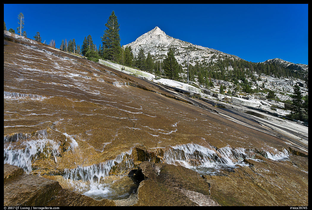 Creek flowing over granite slab, Le Conte Canyon. Kings Canyon  National Park, California, USA.